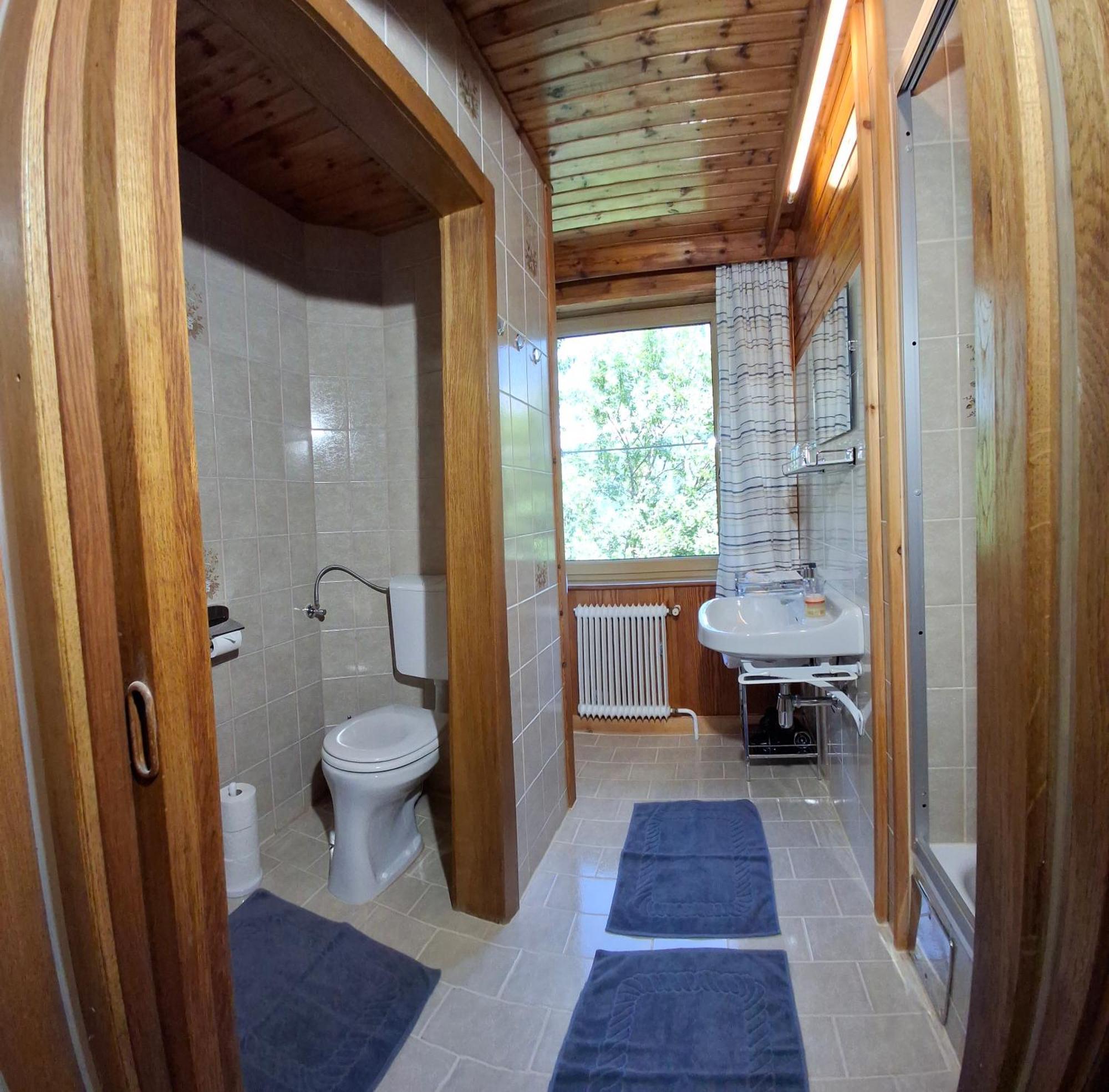Scharzenberger Und Hinteregg Apartmán Schladming